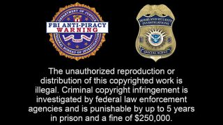 Foot Casting Couch – Ditria Rose